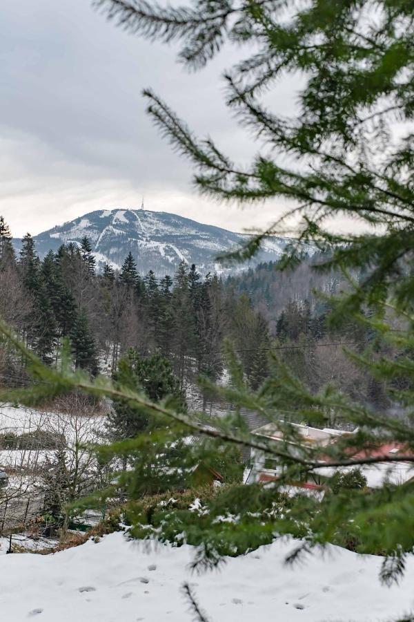 Folkowy Dom Dla 14 Osob Z Sauna I Grillowiskiem - Dream Apart Szczyrk Bagian luar foto